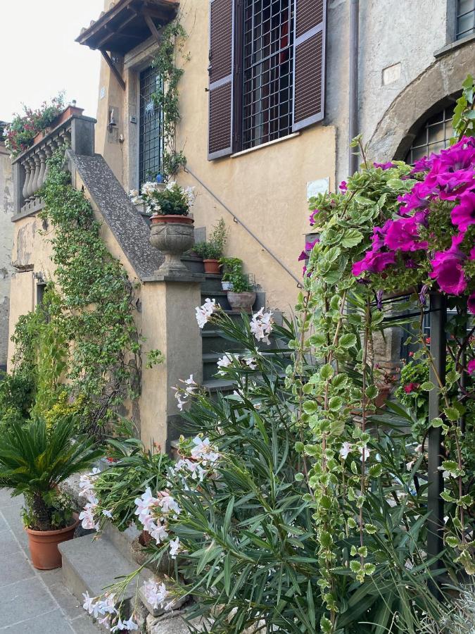 Bed and Breakfast La Torretta à Orte Extérieur photo