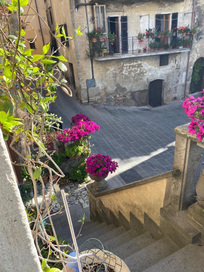 Bed and Breakfast La Torretta à Orte Extérieur photo